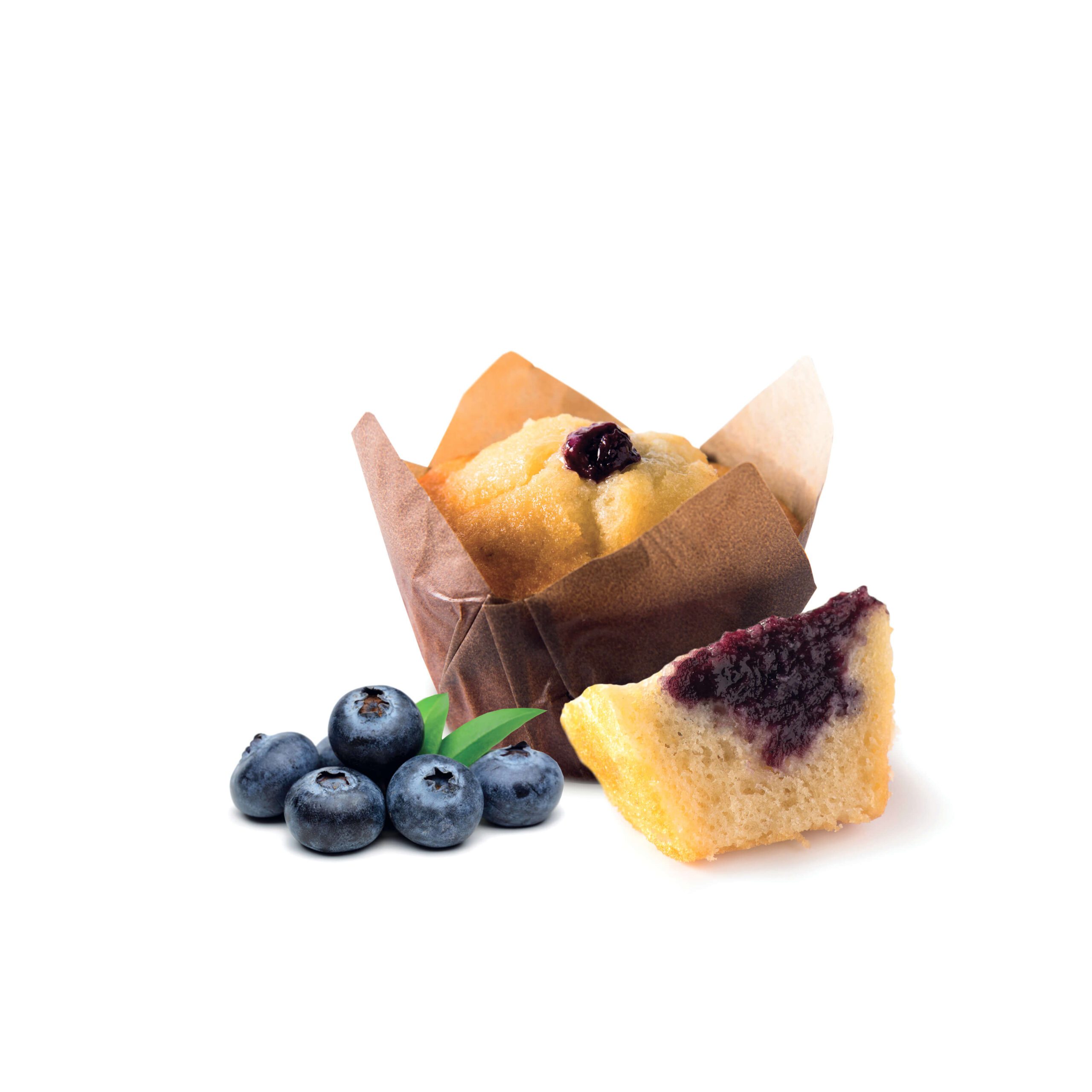 Blueberry muffin 55g