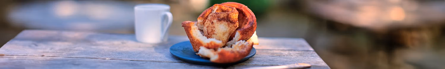 cinnamon-bun-131404-category-bannerv2